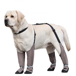 Bottes Chauffantes Antid&eacute;rapantes Pour Chiens De Grande Taille : Protection Des Pattes L - Neuf