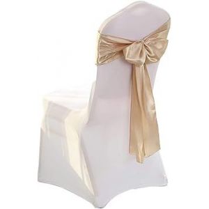 (Champagne) 1 Pack De Satin Organza Président Vantaux Avec De Doux Soyeux N?ud Papillon, Large Ruban De Président De Couverture, Mariage, Banquet, Fête D'anniversaire, Événement - Neuf