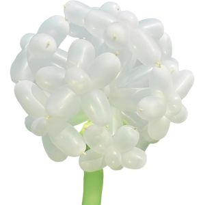 CAUC-Ballons &agrave; Modeler, Ballon Magique, DIY Magiques Ballons en Latex, Multicolores Long Ballon Baudruche Allong&eacute;s, a Sculpter Creative pour Anniversaires Party (TM) - Neuf