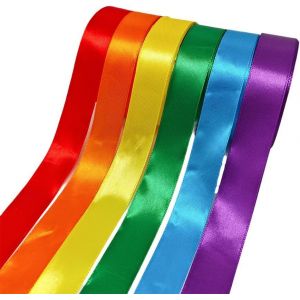 Rubans Maypole 2,5 Cm X 22 M X 6 Couleurs, Résistants Aux Intempéries, En Soie, Décoratifs, Pour Cadeaux - Neuf
