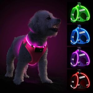 Harnais Lumineux Rechargeable Led Pour Chien, Clignotant Réfléchissant Confortable, Petit Moyen Chiot, Rose-S - Neuf