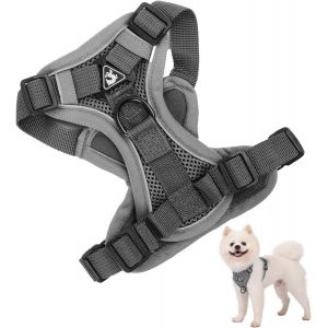Eryi-Harnais Chien Petite Moyen Grand Taille, Harnais Animalin Anti Traction, Harnais Chat Réfléchissant Avec 1,5m Laisse, Pet Harness Respirant, Gilet Haute Visibilité Réglable Pour Marcher Courir ( - Neuf