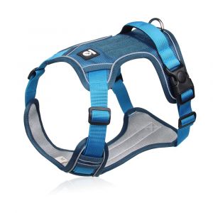 Harnais Lake Blue M-Adventure Facile À Mettre Et À Enlever Avec Clips De Laisse Avant Et Arrière Et Poignée De Contrôle, Pas De Traction Ni D'étranglement, Taille Réglable - Neuf