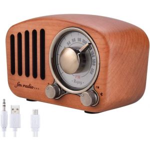 Radio Portable Haut-parleurs Bluetooth Faits &agrave; la Main R&eacute;tro en Bois Bluetooth 4.2 Mini Haut-Parleur avec Caisson de Basses Super Graves avec Radio FM Prise D&iquest;entr&eacute;e Audio (R919) - Neuf
