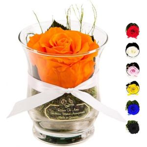 , Cadeau Maman | Rose &eacute;ternelle Orange parfum&eacute;e en Verre | Fait Main avec Feuillage 100% Naturel | Boite Cadeau raffin&eacute; | Fleur &eacute;ternelle en Coffret Cadeau | Cadeau Fete des Grand Mere - Neuf