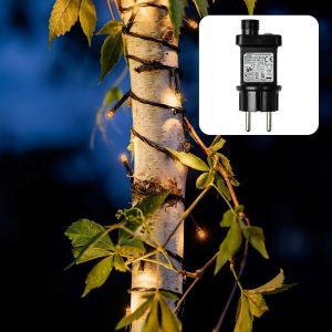 Aiou-Led Chaîne Lumière Extérieure Ou Intérieure,Chaîne Lumineuse Couleur Mandarine Avec Minuterie,Guirlande Lumineuse Alimentée En Courant Avec 200 Led,Câble En Vert,<59 Lumens 150056 - Neuf