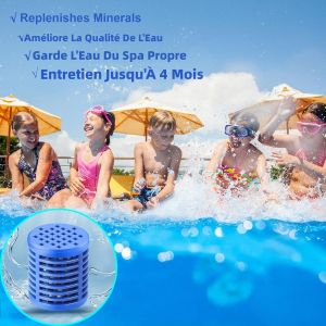 2 Baguettes Minerales pour Spa, Accessoires pour Filtre Intex S1 et Type VI, Nettoie et Clarifie l Eau, Dure 4 Mois, Bleu - Neuf