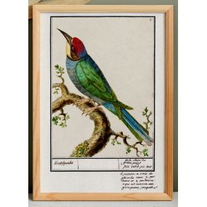 Petite affiche sur le "pic &eacute;peiche", d&rsquo;apr&egrave;s une gravure ancienne de 1610. - Neuf