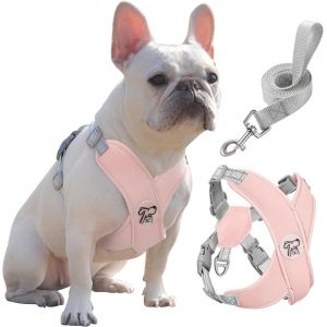 Eryi-Harnais Pour Chiens Avec Laisse, Harnais Sécurisé Anti-Traction En Forme De X, Veste Pour Chiens De Petite & Moyenne Taille, Ceinture De Sécurité D'animaux Réglable Pour Promenade, L - Rose - Neuf