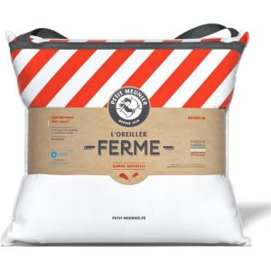 Ulteronixshop-Oreiller Naturel Ferme 60x60 Cm &iquest; Plumette Et 10% Duvet Pour Un Confort Ferme, R&eacute;silient Et Respirant &iquest; Anti-Acariens Hypoallerg&eacute;nique &iquest; Confection Artisanale En Bourgogne - Neuf