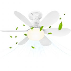BuzzoXerex Ventilateur de Plafond avec Lumi&egrave;re et T&eacute;l&eacute;commande, 40W Dimmable Ventilateur Plafond LED avec Douille E27, lustre ventilateur de plafond pour Chambre, Salon, 6 Pales, 3 Vitesses, Timing - Neuf