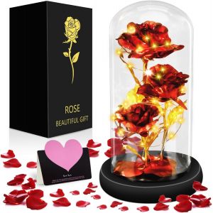 Rose Eternelle sous Cloche, La Belle et la Bête Rose, Galaxy Rose avec LED Lumières, Faux Rose Abat Jour en Verre LED - Mariage Maison Décor,Cadeau pour Femme, Mere, Mamie, Petite Amie - Neuf