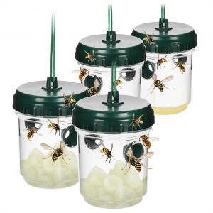KALANKA-COM-FOUR® 4X Piège à guêpes Vivant u2013 Piège Naturel pour l'extérieur u2013 Éloigne Les guêpes u2013 Solution Anti-guêpes à Poser et Suspendre u2013 Protection à 360° (04 pièces - Vert - Neuf