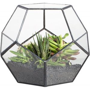 NouvelHorizonstore-Noire G&eacute;om&eacute;trique Terrarium en Forme de dod&eacute;ca&egrave;dre et plaques Transparent de Verre pentagonales pour Plante (Pas de Plantes) - Neuf