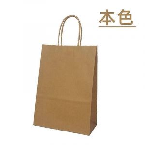10-50pcs sacs en papier kraft avec poignée Sacs de faveur de fête d'anniversaire pour petites entreprises Sacs d'épicerie Sacs cadeaux Taille assortie - Neuf