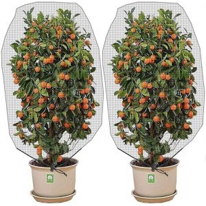 Filet anti-insectes avec cordon de serrage (1,5 x 1 m, 2 pièces) - Filet anti-insectes de jardin pour protéger les plantes, les fruits et les fleurs des insectes et des oiseaux - Neuf