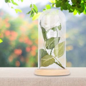 HJLIAN Lampe LED en forme de rose avec base en verre, cadeau de mariage, Saint-Valentin, blanc - Neuf
