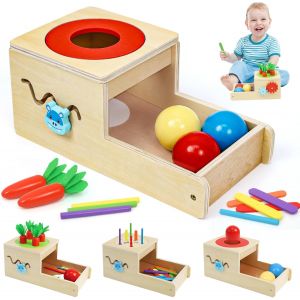 JGD-Jeux Montessori 1 2 3 Ans, Jeux Educatif 1 2 3 Ans Enfants, Motricit&eacute; Fine Jeu Bebe avec Carottes, Jeu de Tri Sensoriel Jouets en Bois Anniversaire P&acirc;ques No&euml;l Cadeau pour Gar&ccedil;on & Fille - Neuf