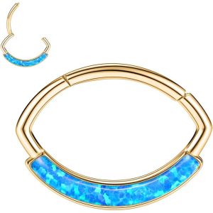 Kal-Boucles D'oreilles 16 G En Acier Inoxydable Pour Septum, Daith, Rook, Tragus, H&eacute;lix, Cartilage, Lobe Septum, Bijoux Serpent, Pyramide, Fl&egrave;che, &Eacute;toile, Anneau Segment&eacute; &Agrave; Charni&egrave;re - Neuf