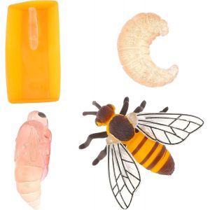 Sansh-Lot De 4 Figurines D'insectes Pour Cycle De Vie Des Papillons, Apprentissage Préscolaire Enseignement Des Insectes, Cycle De Croissance Des Insectes Jouet Réaliste Pour L'éducation (Abeille) - Neuf