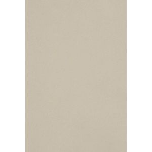 10x Carton Gris Clair 250g Papier Décoratif A5 148,5x210mm Burano Grigio Idéal Pour Cartes De Voeux Scrapbooking Bricolage Invitations Art Et Artisanat Anniversaire Diy Loisirs Créatifs - Neuf