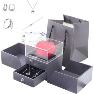 V&eacute;ritable Rose Rouge Conserv&eacute;e Avec Collier En Argent Sterling S925 - Neuf