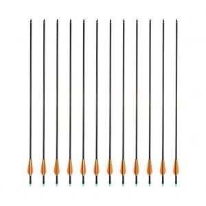 Lot De 12 Fleches D'arc A Poulies En Fibre De Verre De 32 Pouces Pour La Chasse Et Le Tir A L'arc - Neuf