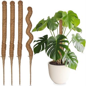 LETNERNY-Tuteurs En Fibre De Coco, Lot De 5, Pour Monstera, Photos, Supports Pour Plantes D'Intérieur, 60 Cm, Nature - Neuf