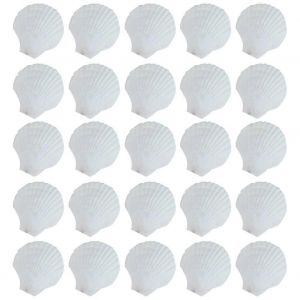 Coquille Saint-Jacques Naturelle 25pcs,Pour La Production De Bricolage &Agrave; La Main Coquille De Coloriage Bricolage Fait &Agrave; La Main - Neuf