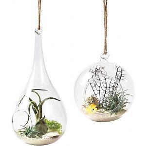 Lot de 2 vases suspendus en verre - Neuf