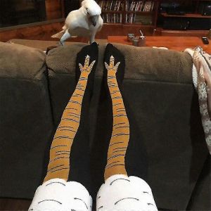 Mignon Cuisse De Poulet Chaussettes Dessin Animé Cuisse Haute Chaussettes Haut Bas Haut De Genou Femmes Hiver - Neuf