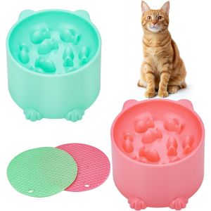 Kalanka-2 Pi&egrave;ces Gamelle Anti-Glouton Chat Sur&eacute;lev&eacute;e - Bol Anti-Vomissement Facile &Agrave; Nettoyer Avec Tapis Antid&eacute;rapant Pour Nourriture & Eau (Rose & Vert) - Neuf
