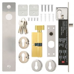 Systeme de controle d'acces de securite a pene electrique 12 V CC a 6 fils avec cles - Neuf