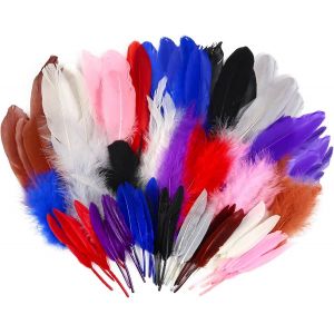 480pcs Plumes Naturelles Color&eacute;es Loisirs Creatifs 6 Styles Decoration 8 Couleurs 6cm &Agrave; 20cm Pour F&ecirc;te Centres De Mariage D'anniversaire Artisanat Attrape R&ecirc;ves Ruban - Neuf