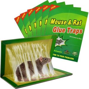 KALANKA-Piege a Souris Colle Collant 6 Pi&egrave;ces Pi&egrave;ges &agrave; Souris Attrape Anti Souris Rat Glue Plaque Collante Pi&egrave;ge Souris et &agrave; Rats [6 Pi&egrave;ces] - Neuf