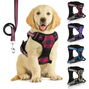 Eryi-Harnais Chien Anti Traction Réfléchissant, Avec Laisse Pour Chien, Pour Entraînement En Plein Air (Plaid Rouge, L) - Neuf