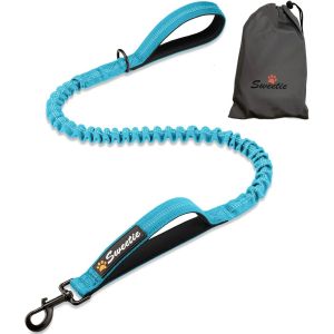 Jgd-Laisse &Eacute;lastique Pour Chien - Absorption Des Chocs Qui Adoucit Les Tractions Et Les Arr&ecirc;ts - Boucle Rembourr&eacute;e En N&eacute;opr&egrave;ne Et Poign&eacute;es De Circulation Pour Plus De Confort - R&eacute;fl&eacute;chissante Pour - Neuf