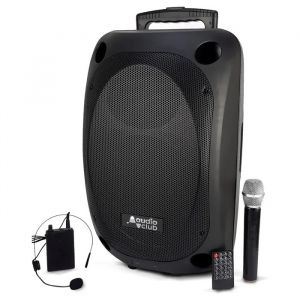 Enceinte Bluetooth SONO portable 15''sans fil 800W St&eacute;r&eacute;o KARAOKE USB BT FM SD CARD TWS- 2 MICROS UHF -Syst&egrave;me de sonorisation - Neuf