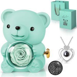 Rose Eternelle avec Collier I Love You, Nounours Ours en Rose Idee Cadeau pour Femme M&egrave;re Maman Amie, Cadeau Fete des Meres, Cadeau Saint Valentin Femme Cadeau Original Noel Anniversaires - Neuf