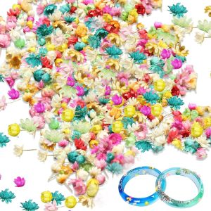 850 Petit Fleurs s&eacute;ch&eacute;es pour r&eacute;sine,Vraies Petites Fleurs s&eacute;ch&eacute;es Naturelles pour l'artisanat en r&eacute;sine,Fleurs s&egrave;ches color&eacute;es pour r&eacute;sine,Petites Fleurs s&eacute;ch&eacute;es press&eacute;es pour Bricolage,Bijoux - Neuf