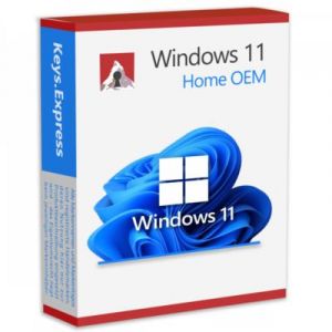 Windows 11 Home Oem - Neuf