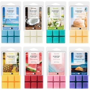 MEVRONISSHOP-Fondants de cire parfum&eacute;e d'&Eacute;t&eacute; pour lampes parfum&eacute;es, 100% bougies de cire de soja parfum&eacute;es, senteurs d'noix de coco, mojito, glace &agrave; la vanille, coffret cadeau pour Vacances d'&Eacute;t&eacute;, 8 - Neuf