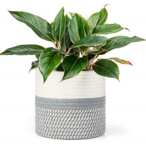 Kalanka-Panier &Agrave; Plantes D'int&eacute;rieur, Pot De Fleurs Tiss&eacute;, Cache Pot &Agrave; Plantes En Corde De Coton, D&eacute;coration Int&eacute;rieure Panier De Rangement Pour Jouets V&ecirc;tements Diam&egrave;tre 20 Cm - Neuf