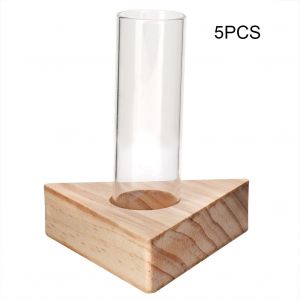 Hjlian Lot De 5 Vases Transparents En Verre Pour Terrarium, Table, Bureau, Culture Hydroponique, Plantes, Bonsai - Neuf