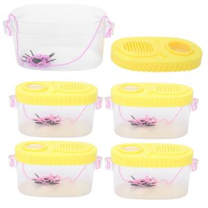 Lot De 5 Boites A Insectes Pour Enfants, Jouets D'observation Et De Grossissement Pour La Maternelle - Neuf