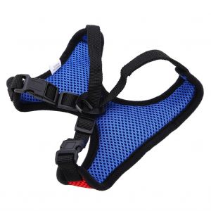 Hjlian Ensemble Harnais Et Laisse Pour Chien De Petite Et Moyenne Taille, En Maille Souple, Taille S - Neuf