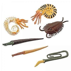 2x 6 pi&egrave;ces Mod&egrave;le d'animal marin pr&eacute;historique, jouet animal marin ancien pour - Neuf