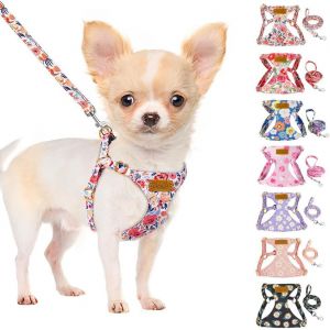 Eryi-Harnais Petit Chien: Harnais Pour Chiots En Daim Souple Et Léger, Sans Traction, Avec Laisse Et Boucle, Harnais Chiot Pour Chiens De Petite Et Moyenne Taille - Neuf