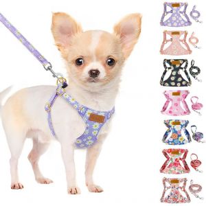 Eryi-Harnais Petit Chien: Harnais Pour Chiots En Daim Souple Et Léger, Sans Traction, Avec Laisse Et Boucle, Harnais Chiot Pour Chiens De Petite Et Moyenne Taille - Neuf
