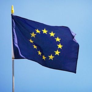 &Eacute;cussons Thermocollants, &Eacute;cussons Thermocollants Pour Enfants, &Eacute;cussons &Agrave; Coudre, Renforts Genoux Pour T-Shirts, Jeans, Sacs, Jupes, R&eacute;parations Pour Enfants (32 Pi&egrave;ces) - Neuf